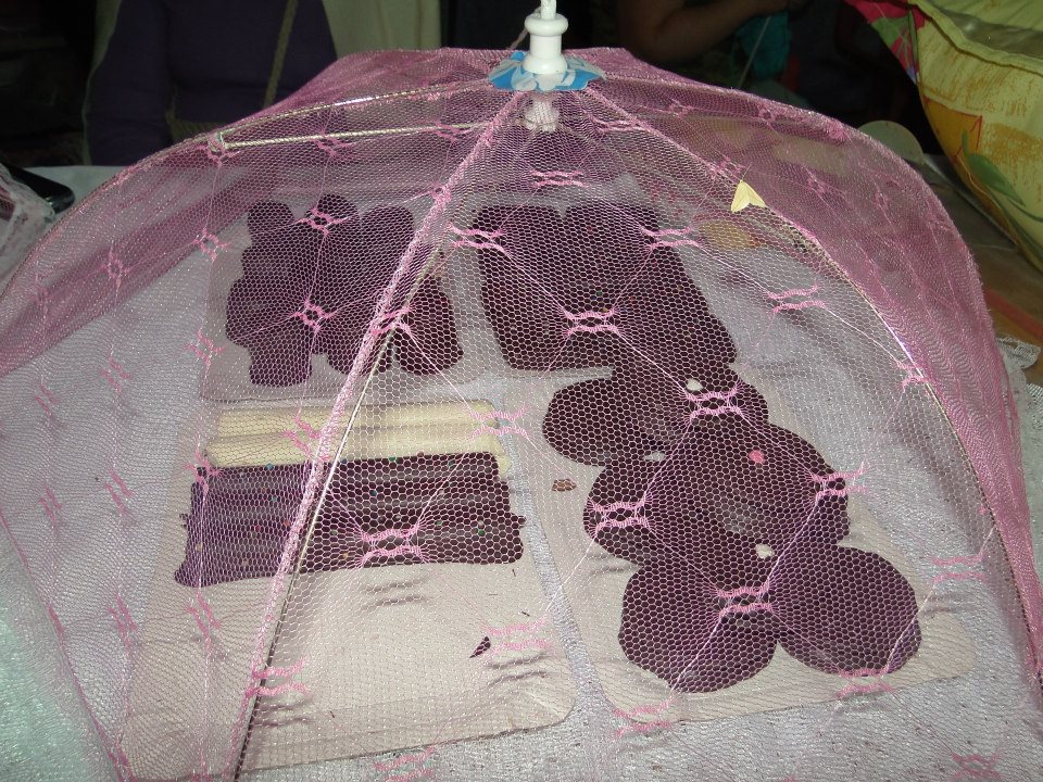 6002 211915758951208 1421952861 n