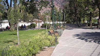 Photo of Pichidegua se suma a causa contra Fibroandes para evitar instalación de termoeléctrica