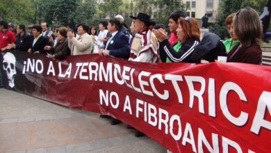 Photo of Pataguacoop y el Comité de Defensa del Medio Ambiente de Pichidegua se suman en la causa Fibroandes