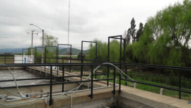 Photo of INFORMATIVO: Construcción de defensas y pasarelas en Planta de Tratamiento