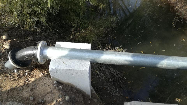 36411799 10214596662981786 8372016163378429952 n